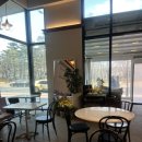 마이서울바이츠(My Seoul Bites) 이미지