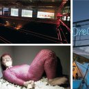 야외광장 문화행사 < Dream Night > 이미지