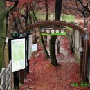 전주 이씨 영해군파 묘역 이미지