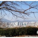 문현동 쌈지공원 이미지