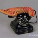 작품 이미지