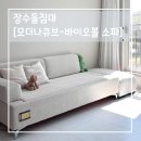 장수바이오 | [내돈내산] 장수돌침대｜모더나큐브｜바이오볼소파후기