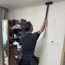 지엘리베리움 이미지