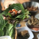 작은영토 이미지