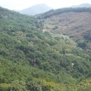 창녕공설운동장 이미지