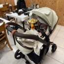 대구해물 | 영암 삼호맛집 호가양푼이 해물찜/대구뽈찜 내돈내산 후기