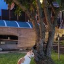 청평시장 화장실 | 혼펜(프립) 1박2일 후기 | 청평 ‘팝콘하우스’ (불멍 + 바베큐 + 위스키바 + 고양이)