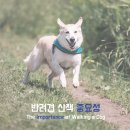 고강동물병원 이미지