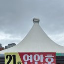 21호연안호 - 1852 | [2025.05.24] 속초 동명항 ‘오징어난전’ 방문 후기 (21호 연안호, 오징어 시세)
