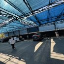 평택셀세모 이미지