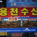 용천 | 가락시장 대게 대하찜 맛집 용천수산 방문 후기 !