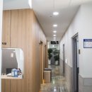 마디척의원 이미지