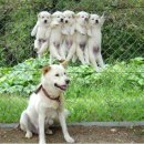 011-문산-011 이미지