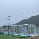 (주)그레이스온