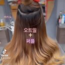 Purple hair(퍼플헤어)