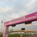 시민운동장 | 🌸세종 복사꽃 마라톤 미리 다녀온 후기 🌸 조치원 시민운동장 현장