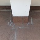 당촌초등학교 이미지