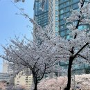 대흥안감