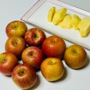아침엔 과일 청송 고당도 못난이 사과 배송 후기