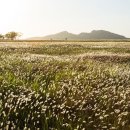 동탄센트럴파크 관광안내소 이미지