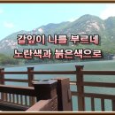 갈잎 이미지