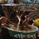 방죽골농장 이미지