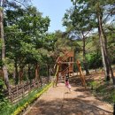 백두대간목재문화체험관 이미지