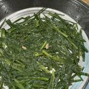 태정목욕탕 이미지