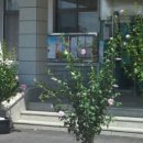 감곡면사무소 이미지