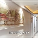 코쿤하우스