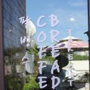 세계조가비박물관 이미지