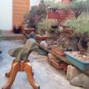 멍멍이집 이미지