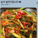 와이커머스 | 온라인 커머스 ‘농가 살리기’의 심한 '늦장 배송'... 농가 살릴 수 있을까