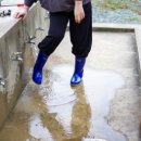 다대어촌체험휴양마을 이미지