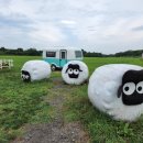 제주시동문재래시장 이미지