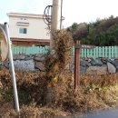 순천별량중학교 이미지