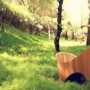 스튜디오 숲 이미지