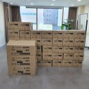 김현진의 마늘향기 이미지