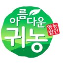 단양사람이 된 오씨아저씨 이야기 이미지