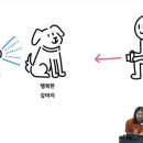 소니 알파 랜선 세미나 - 스냅으로 완성하는 견생샷 후기
