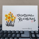 수채 캘리그라피 이미지