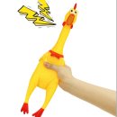 힐링라이프 이미지