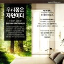 순우리인삼 이미지