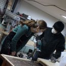 아임우드 이미지