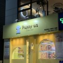 퍼피 인 어스 | 창원강아지분양 눈길이가