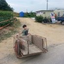 미건농장 이미지