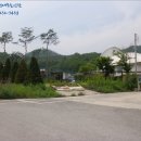 단월주유소 이미지