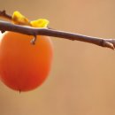 도고보건지소 이미지