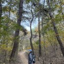 구파발 둘레길 관광안내소 | 포항가볼만한곳 오어사 둘레길 가을 단풍명소 인생사진 1000장 건지는 코스 후기