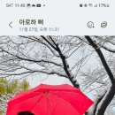 까까맘마 이미지